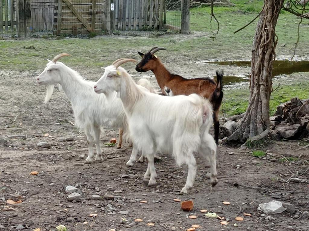 La villa Saint-Martin 외부 전경