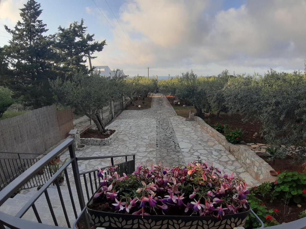 Villa L'orizzonte di calabianca - 3