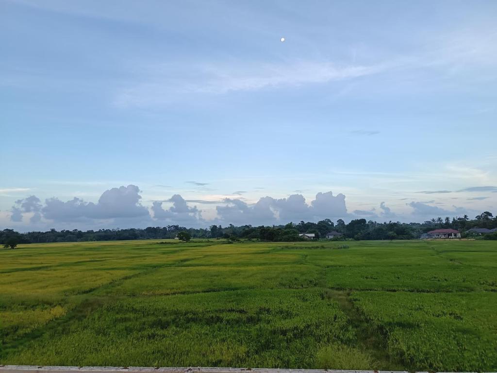 Ảnh 5