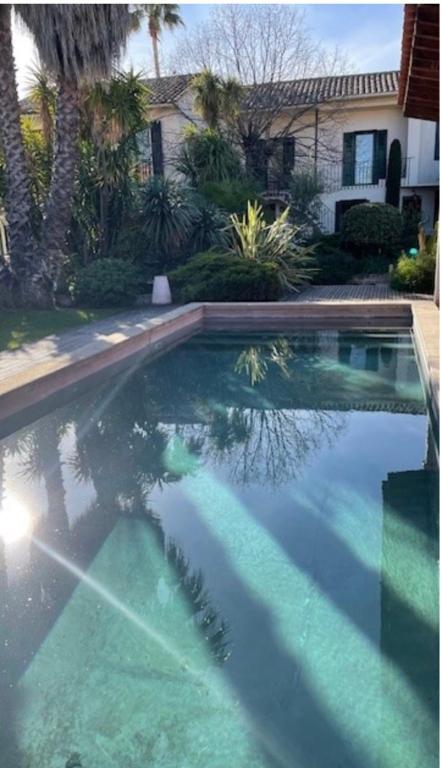 Villa Impressionniste - au coeur de Montpellier, villa 290 m2, jardin tropical, piscine, cuisine extérieure - 3