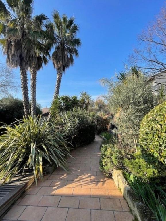 Villa Impressionniste - au coeur de Montpellier, villa 290 m2, jardin tropical, piscine, cuisine extérieure - 4
