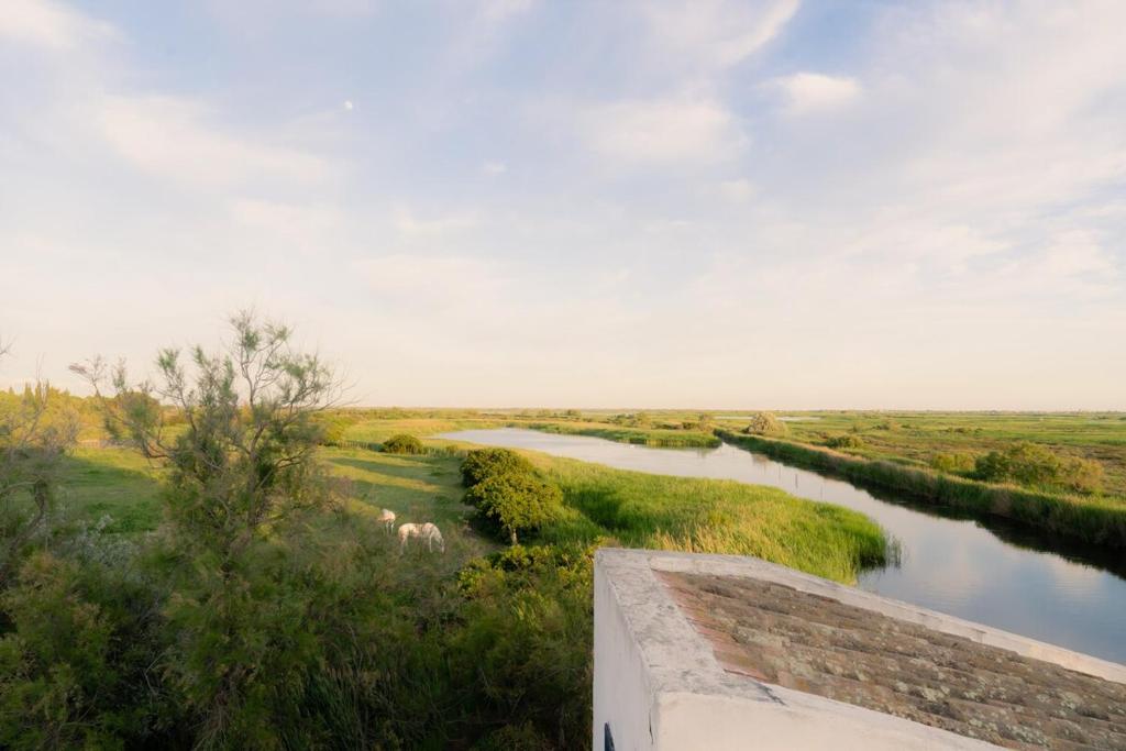 La Maison blanche de Camargue - 5