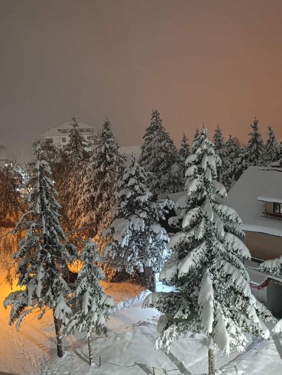 Apartman Lukic - 2