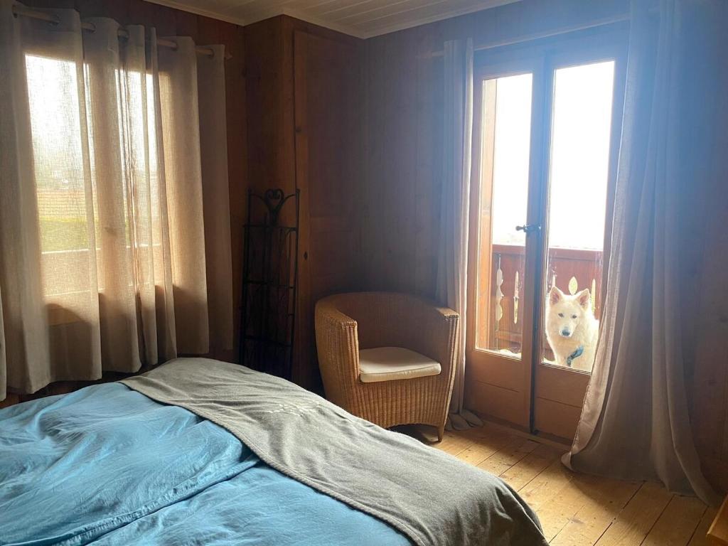 Chalet Chocolat - 5