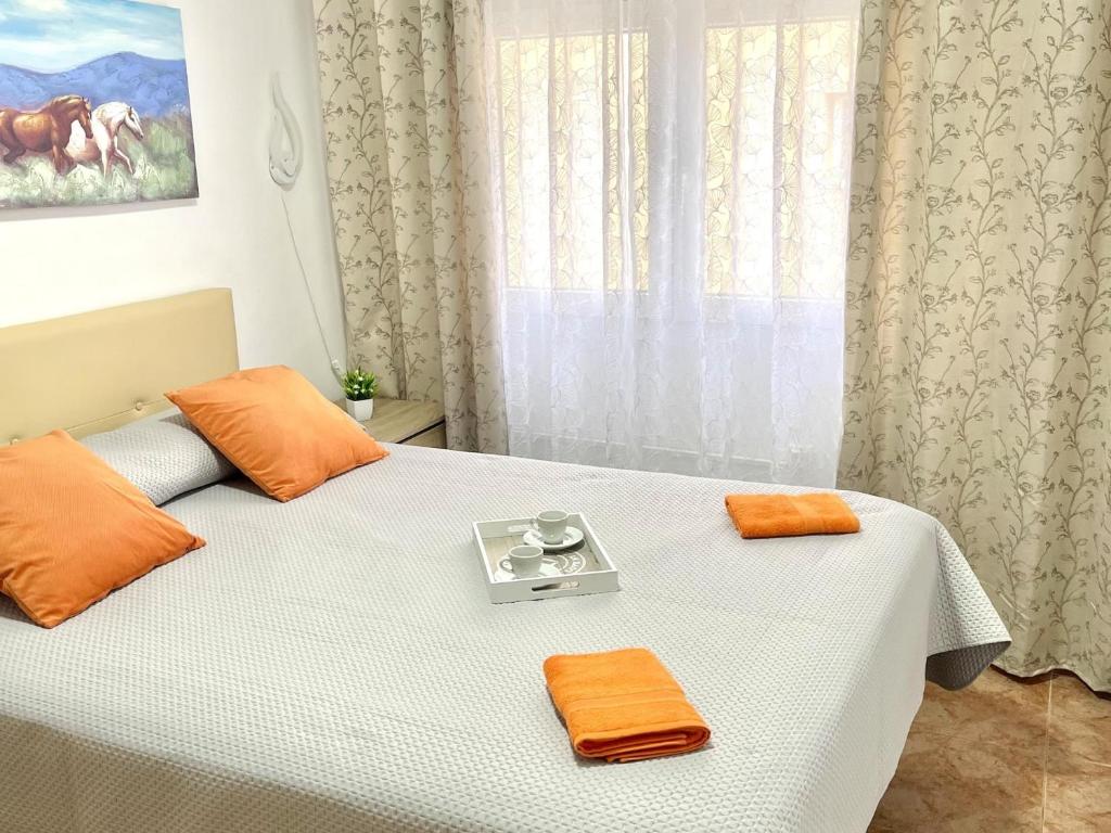 APARTBEACH BONA NOVA JUNTO PLAYA y CLIMATIZADO - 5