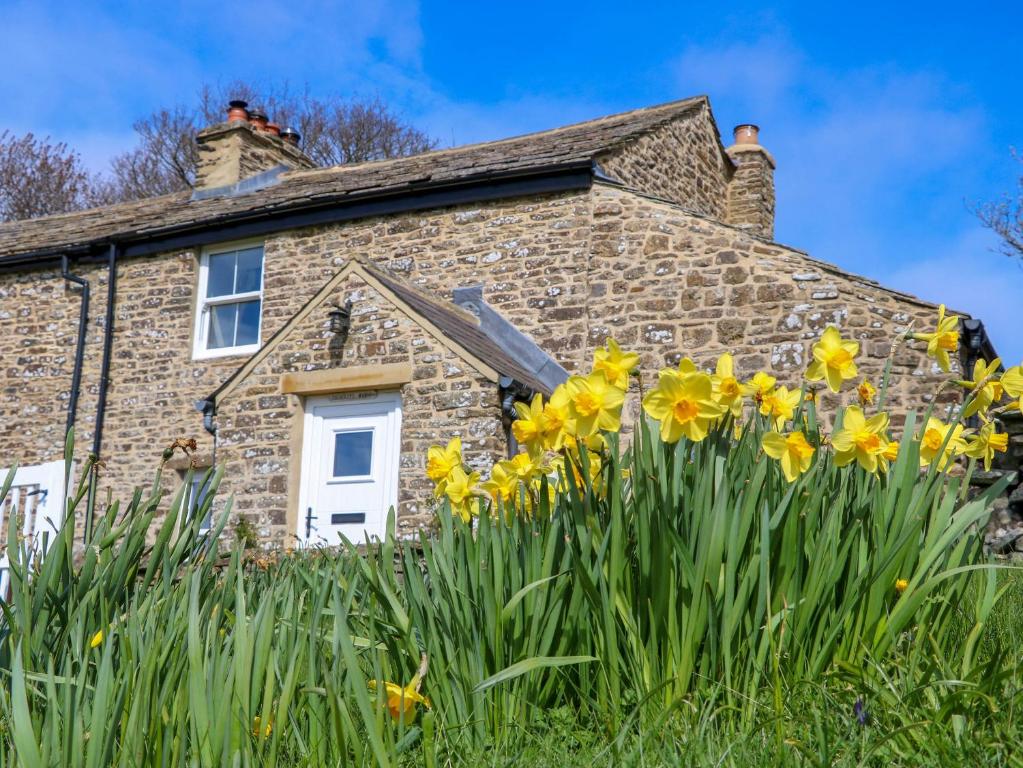 Swinhope View, Hexham