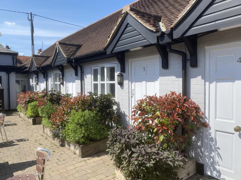 The Cherry Tree, Abingdon