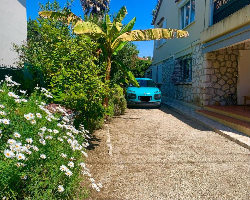 NEW renovated spacious 2 BR Apt AC 300m from Beach - 3
