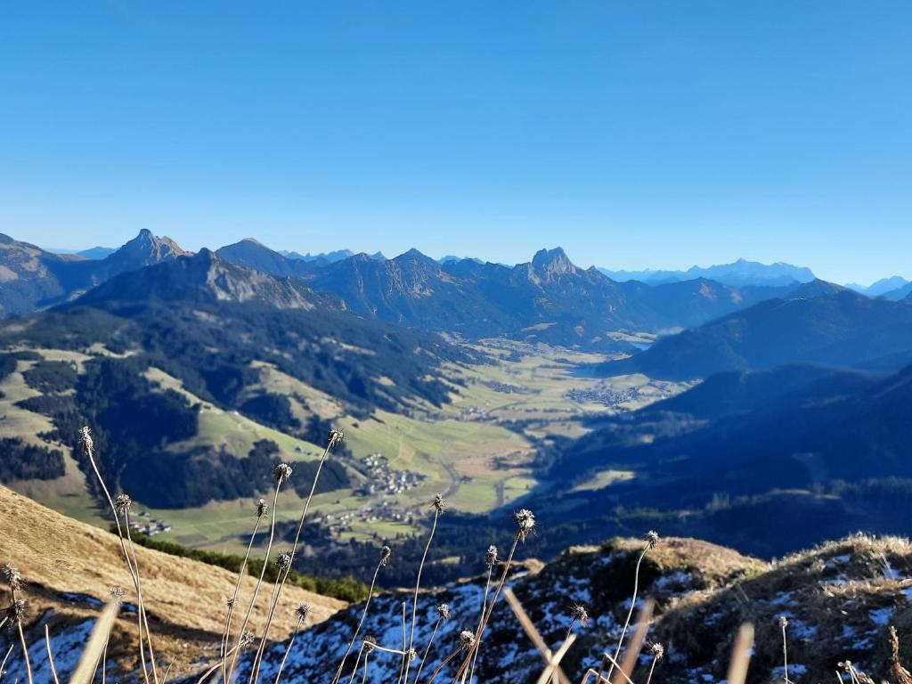 Haus Alpenblick - 3