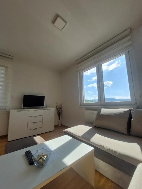 Apartman Pale - Biljana - 3