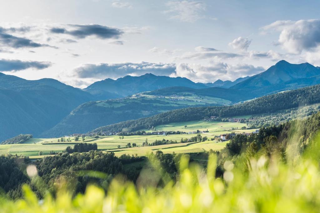 Obergasserhof, Rodengo