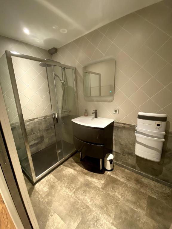 Appartement hyper centre-ville historique 80 m2 - 3