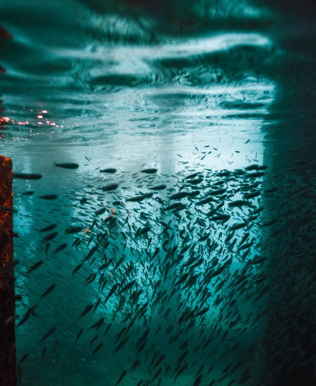 Surrounding environment