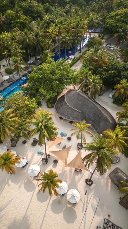 Surrounding environment