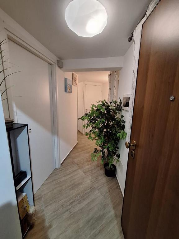 Tra I Normanni E Cattedrale Apartament Palermo - 5