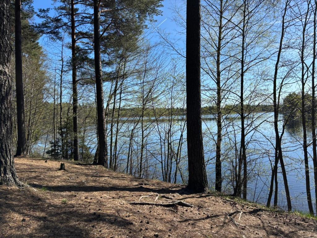 Surrounding environment