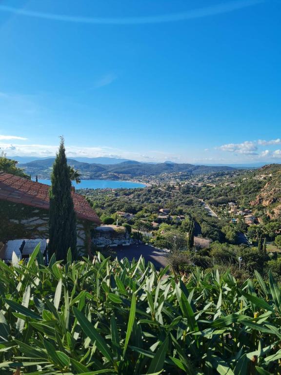 Villa ANTHEA - 4