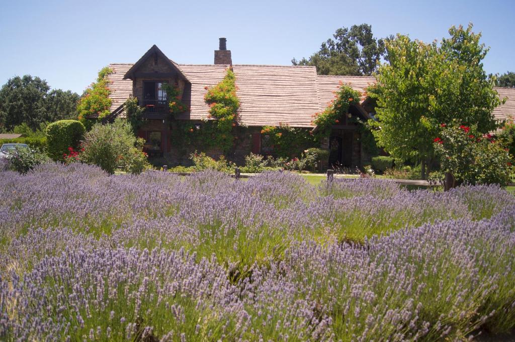 ONX Wines - Briarwood Cottage & Apartment, Templeton