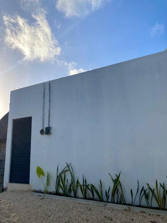 Chan Studio Tulum - 2