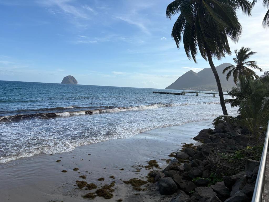 CALYPSo 301, Le Diamant