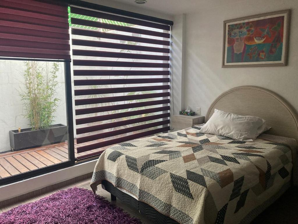 Amazing Apartment - 5
