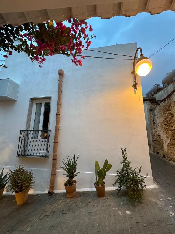 Noto caprifoglio new house with two terraces - 2