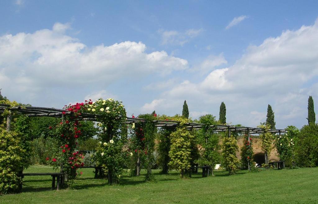 Locanda Rosati - 3