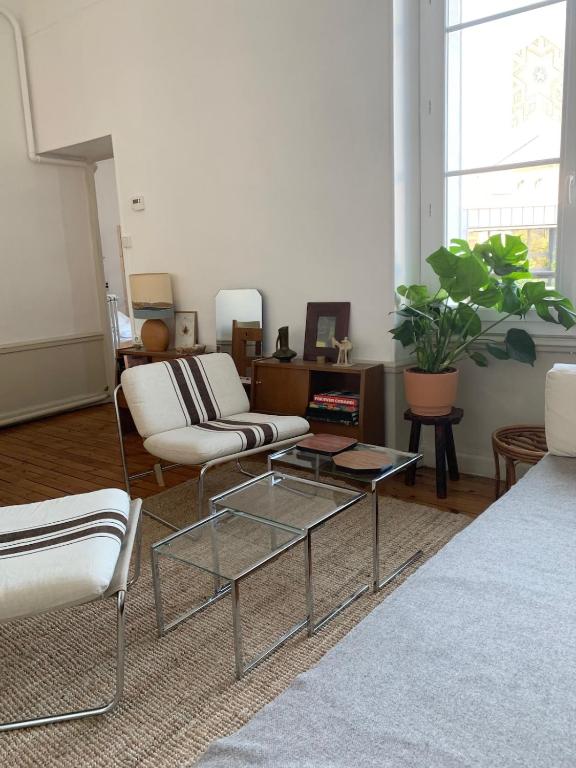 Appartement spacieux et lumineux Place Delille - 3