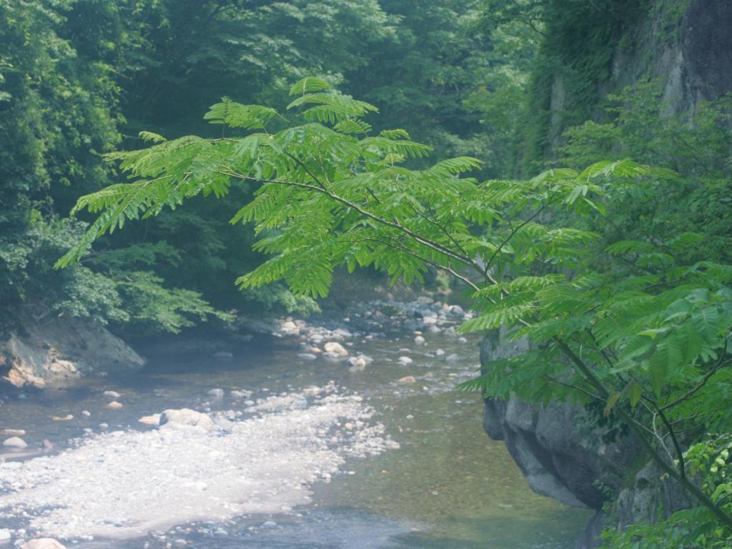 Surrounding environment