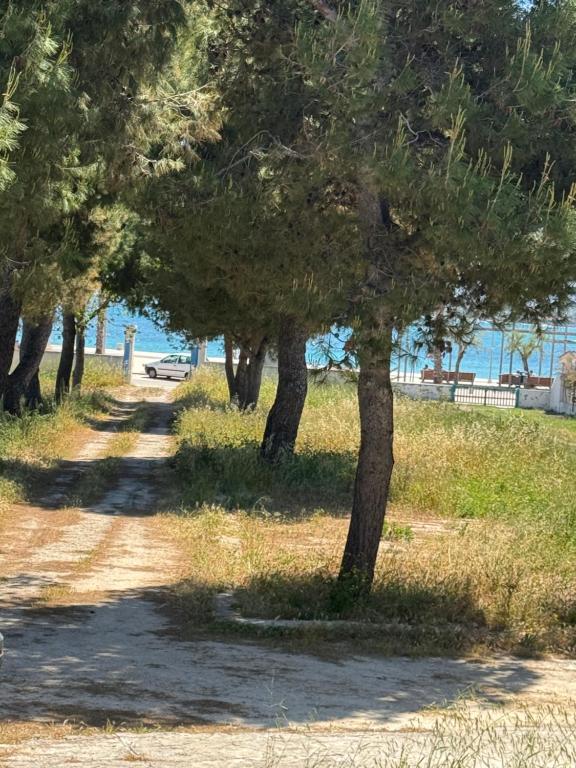 BlueLoft TorreCanne, Torre Canne