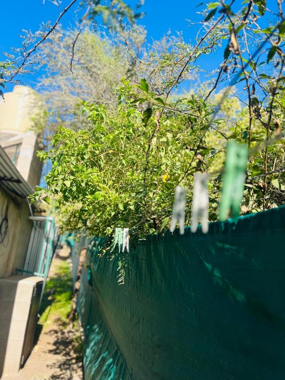 Pequeño depto, wifi, cochera, asador y cocina - 5