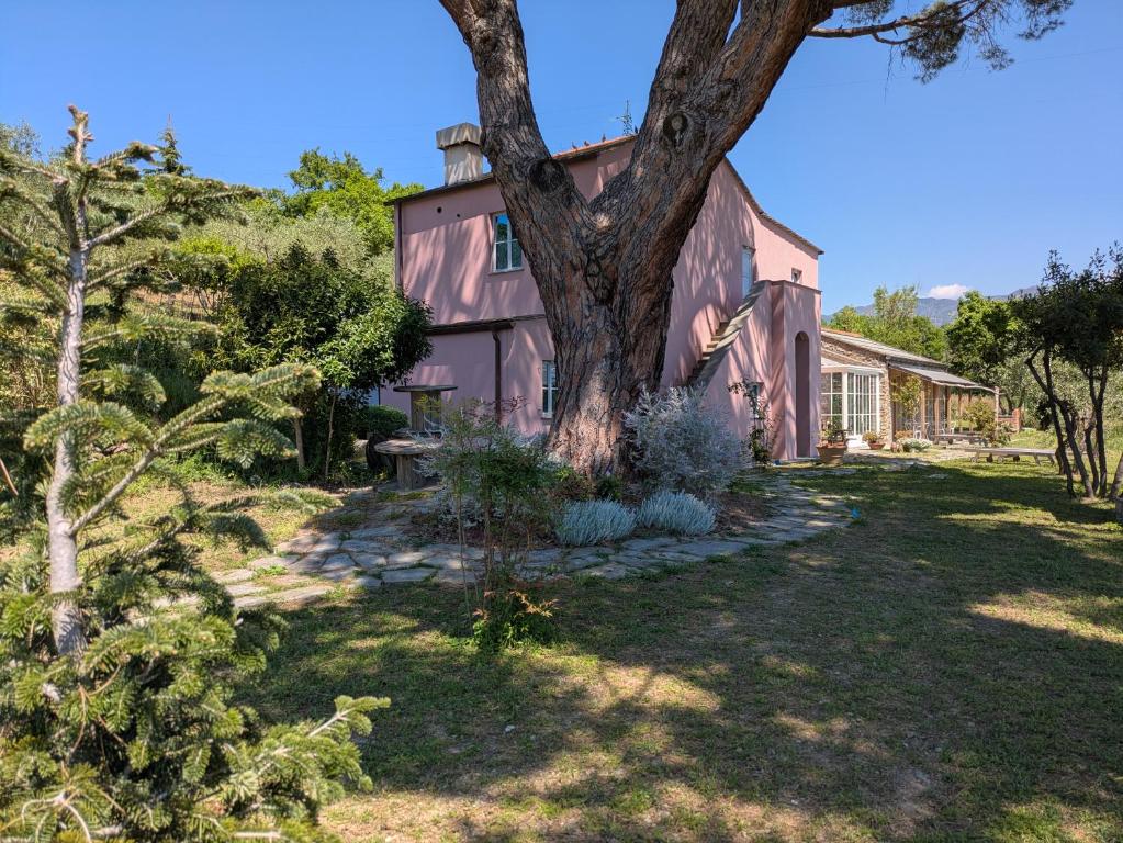 Villa Sarita - 3