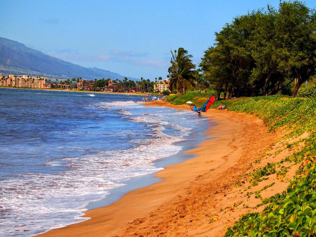 Your Maui Adventure Awaits - Sugar Beach, Kihei