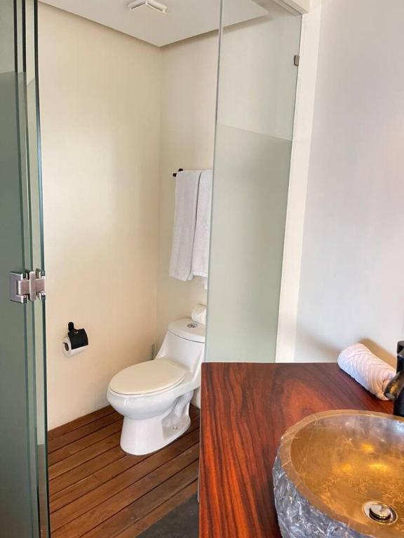 h31 incredible Studio with Balcony and Relax in cenote - 3