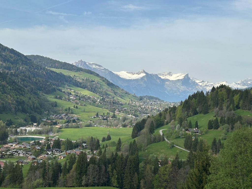 Chalet Saint Victor, Praz sur Arly - 4
