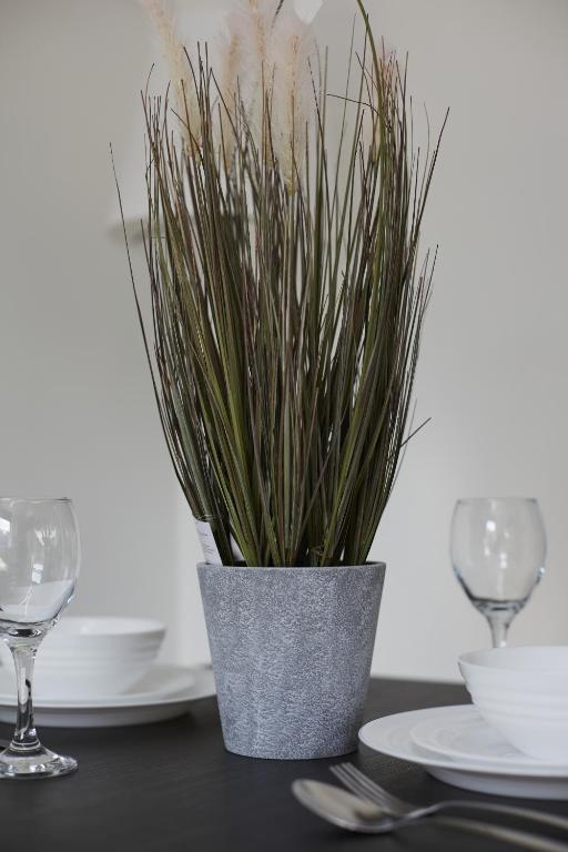 BV Royal Comfy Studio Seven Suite Queensgate Huddersfield, Huddersfield