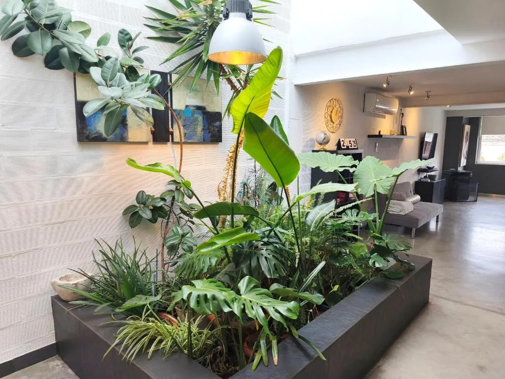 loft CARRASKETA, hotel in Alfafara