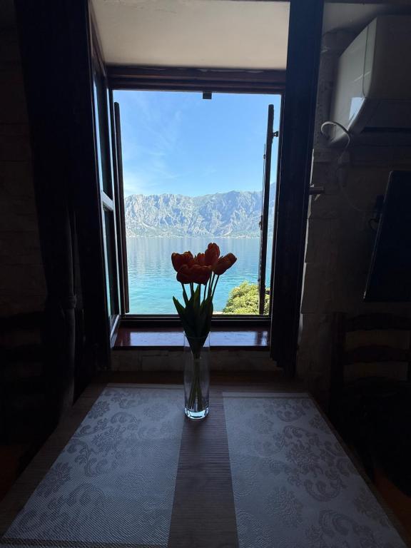 Vista Adriatica, Kotor