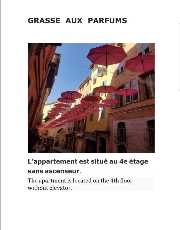 Grasse aux parfums - 2