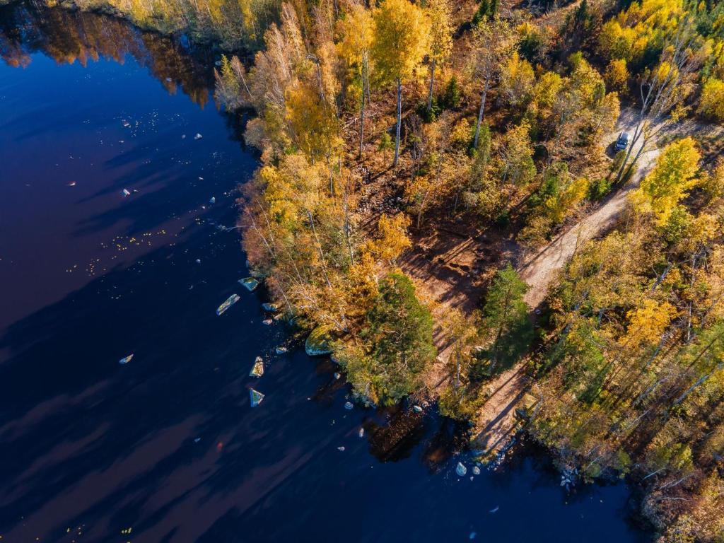 Surrounding environment