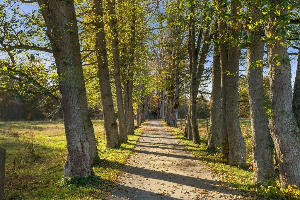 Surrounding environment