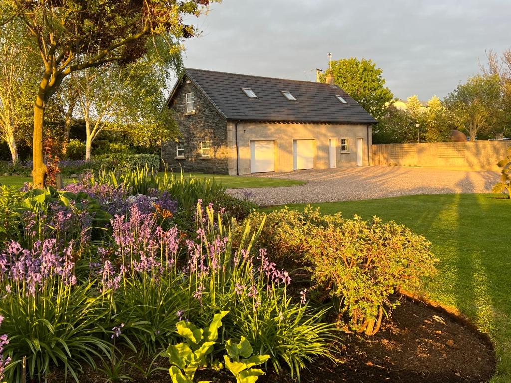 Alpaca Lodge on the North Coast, Coleraine