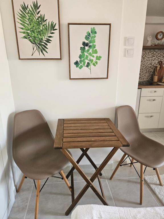 Apartment Srdanovic - 5