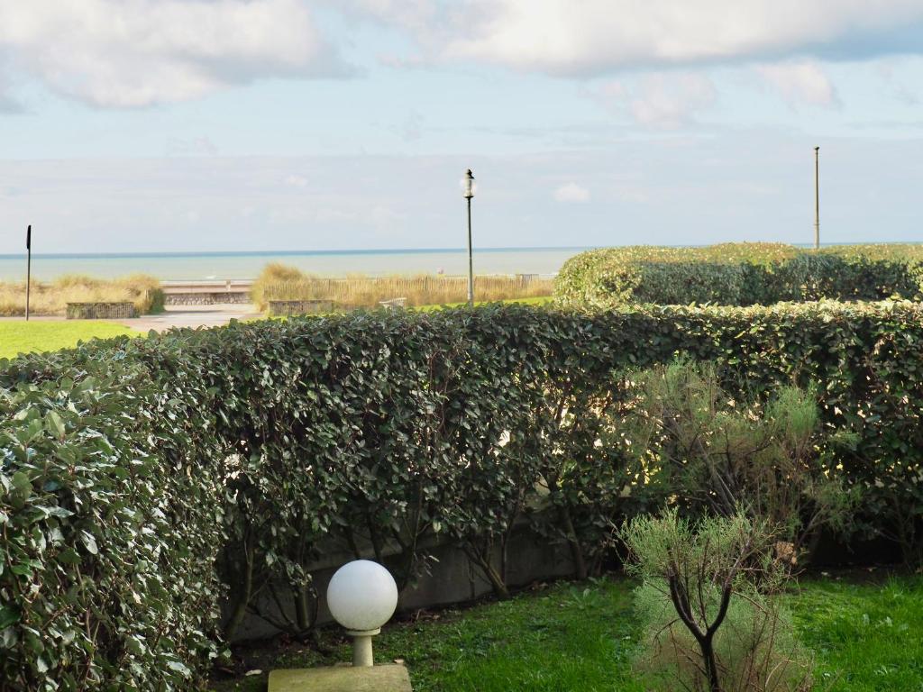 Luxueux T4 vue mer avec jardin privé - 5