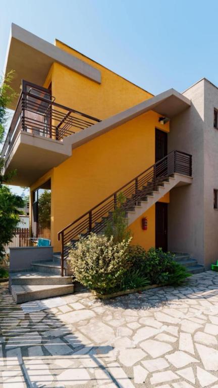 Come here, Kuchkisabano