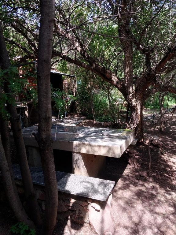 Depto del Monte - 1