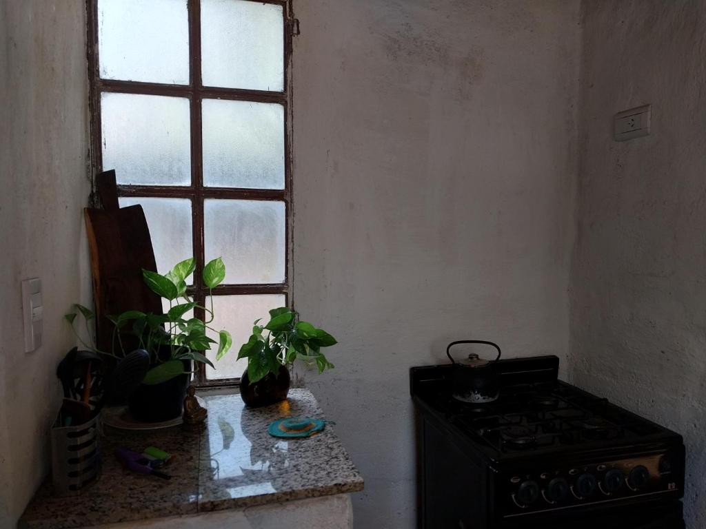 Depto del Monte - 2