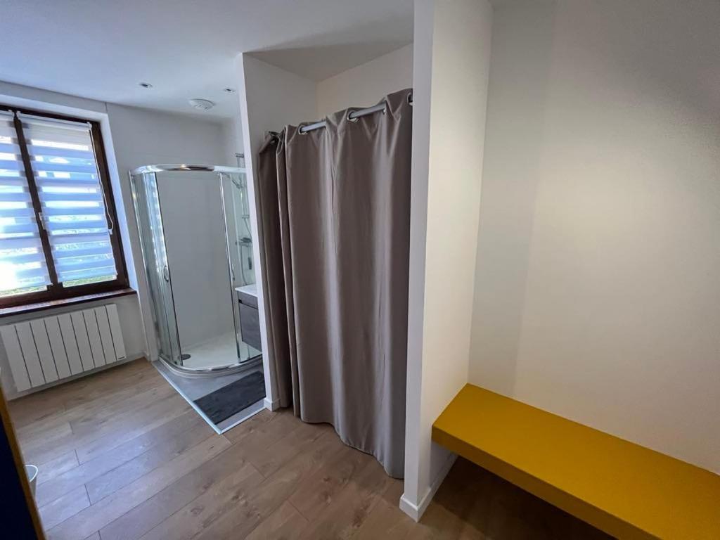 Superbe appartement atypique au cœur de Mulhouse - 2