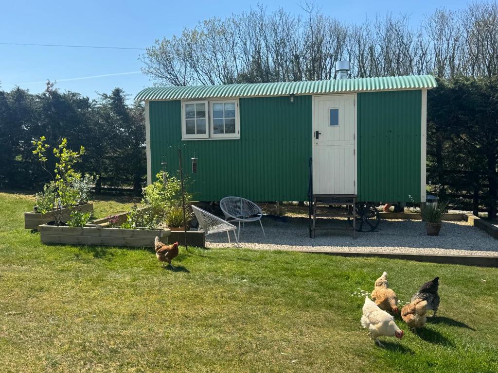Toms Hut and Robins Rest Shepherd Huts near Wadebridge, Wadebridge