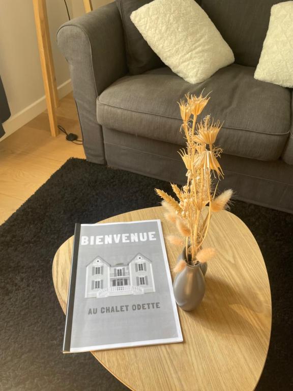 Appartement 4 étoiles dans propriété classée - 5